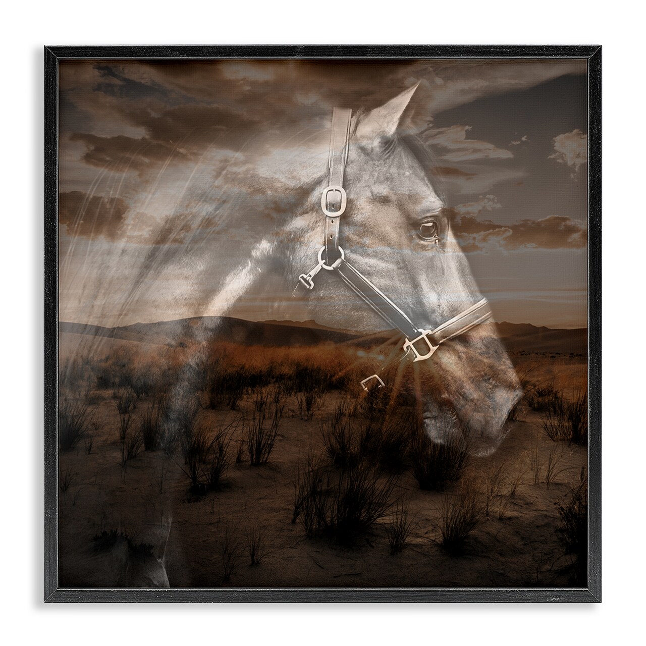 Stupell Industries Horse over Nature Visage Framed Giclee Wall Art Design by CAD Designs